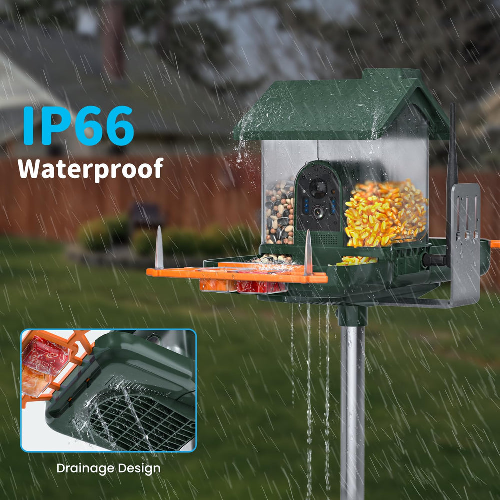 NAVFS Bird Feeder with DIY trays filled with fruit