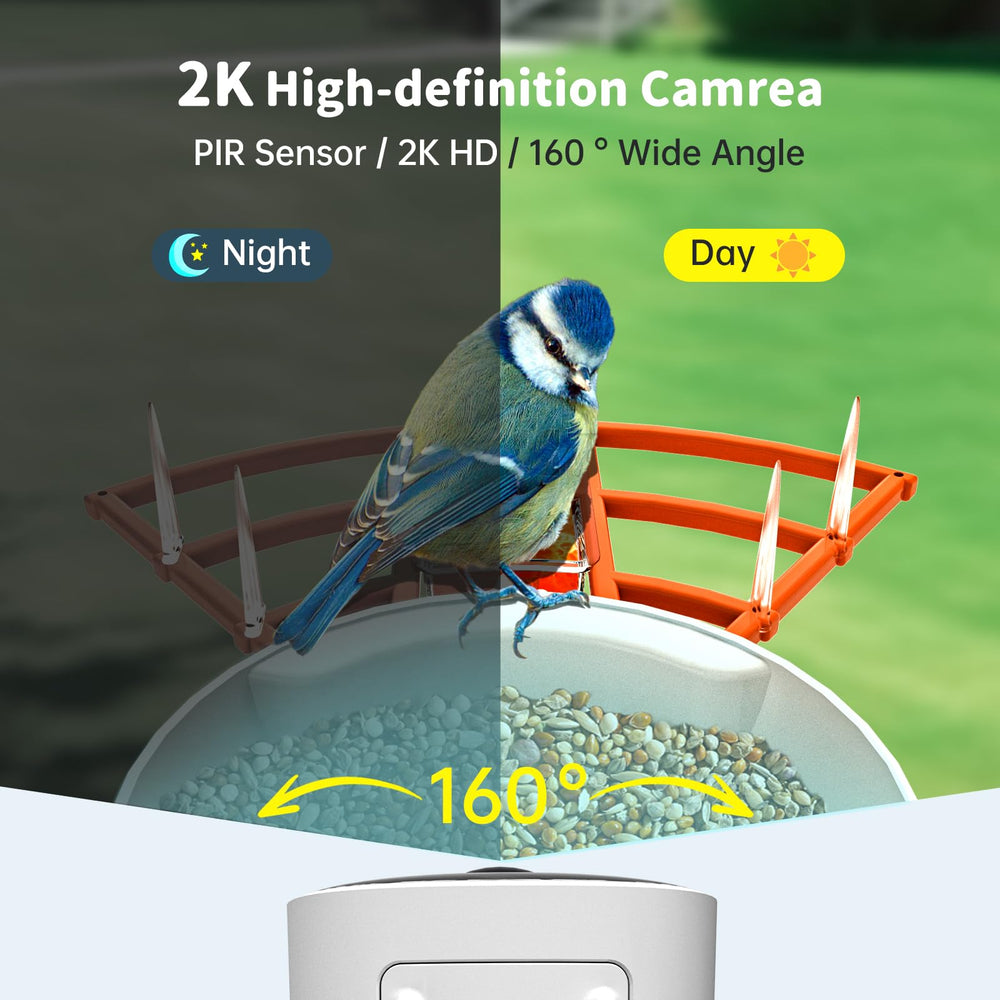 NAVFS Smart Bird Feeder showing fruit holders and jelly feeder