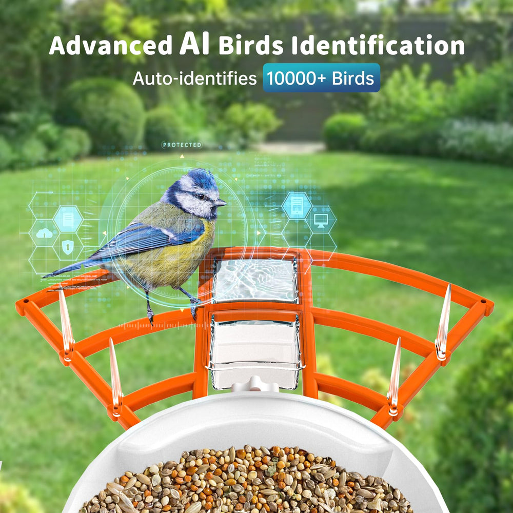 NAVFS Smart Bird Feeder with Solar Panel and Tray