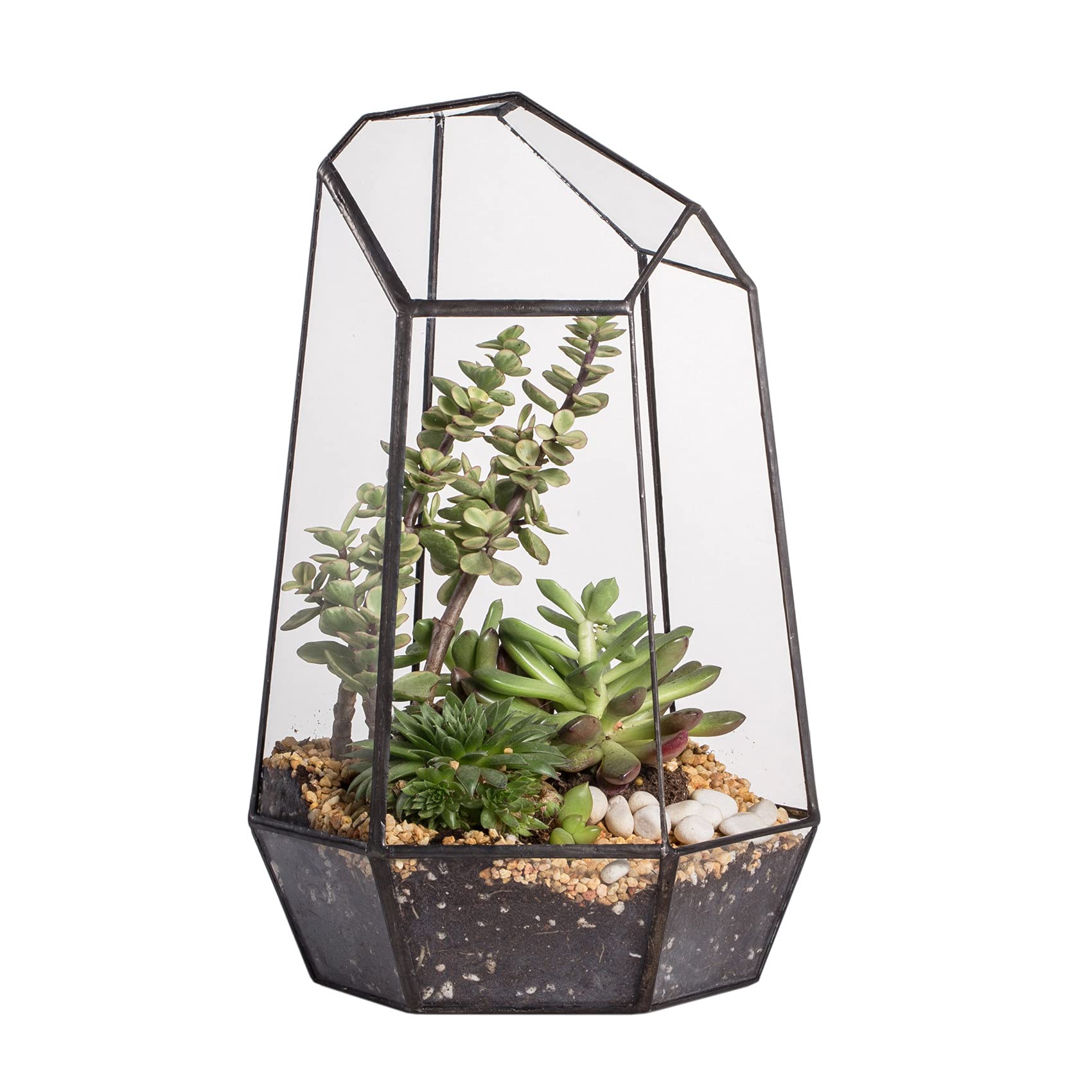 NCYP geometric glass terrarium front view, black colour