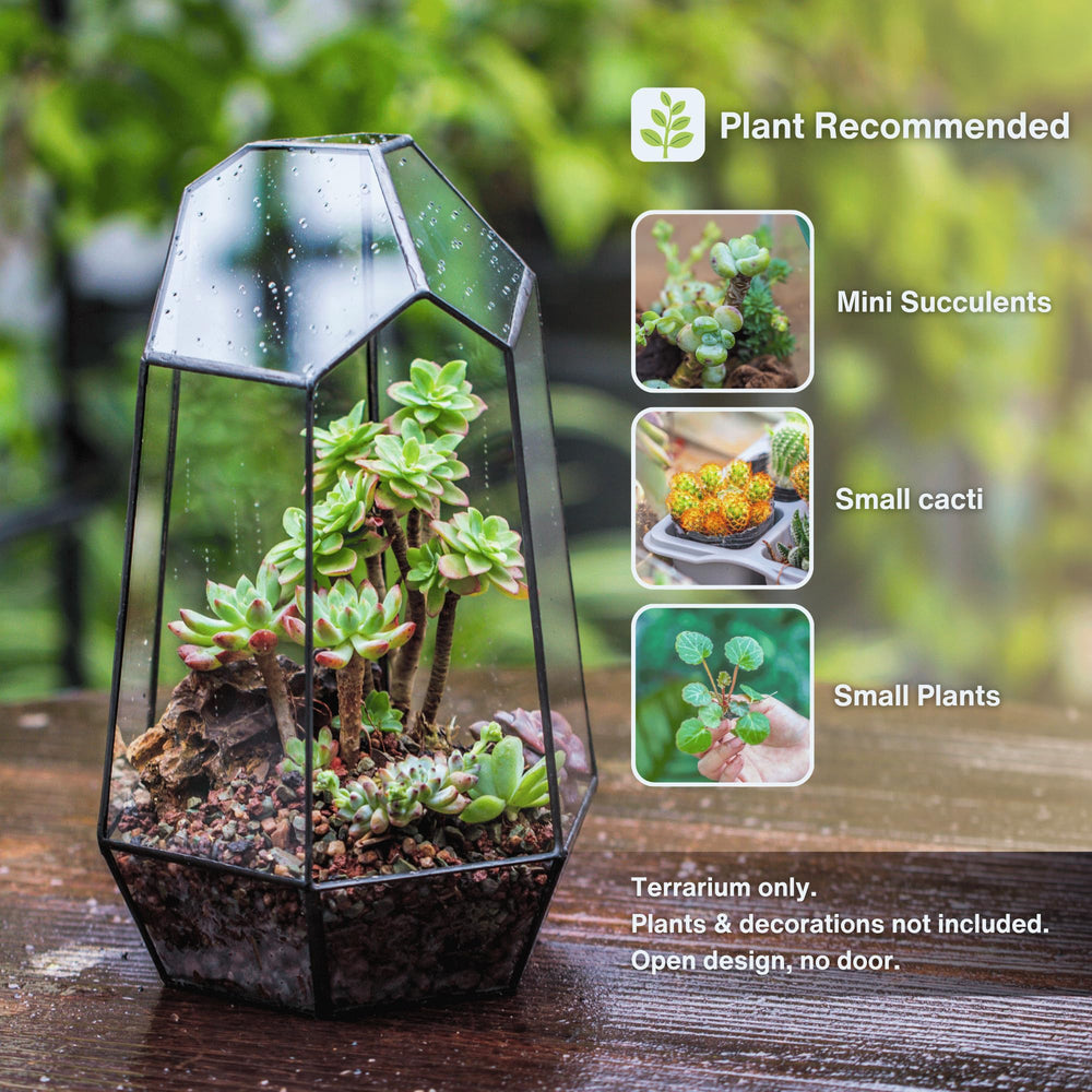 NCYP geometric glass terrarium side view showcasing dimensions