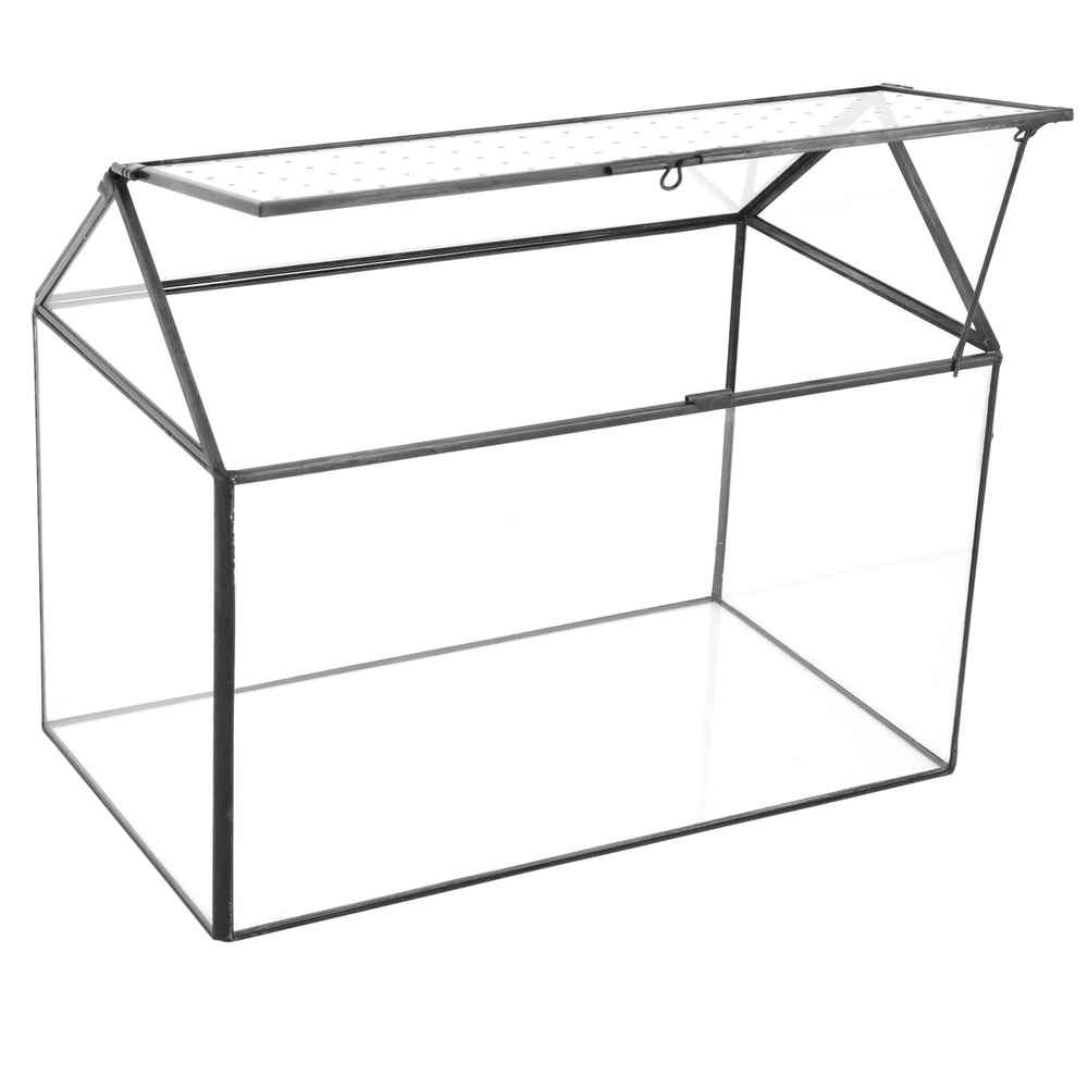 NCYP Glass Terrarium black design on a table
