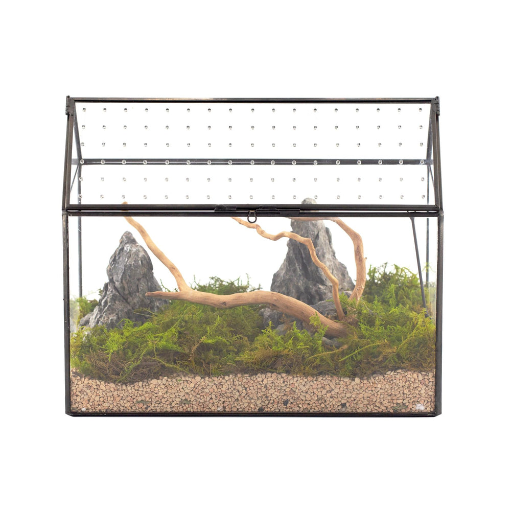 NCYP Glass Terrarium front view with acrylic lid
