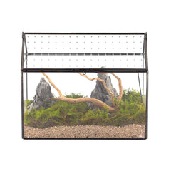 NCYP Glass Terrarium front view with acrylic lid