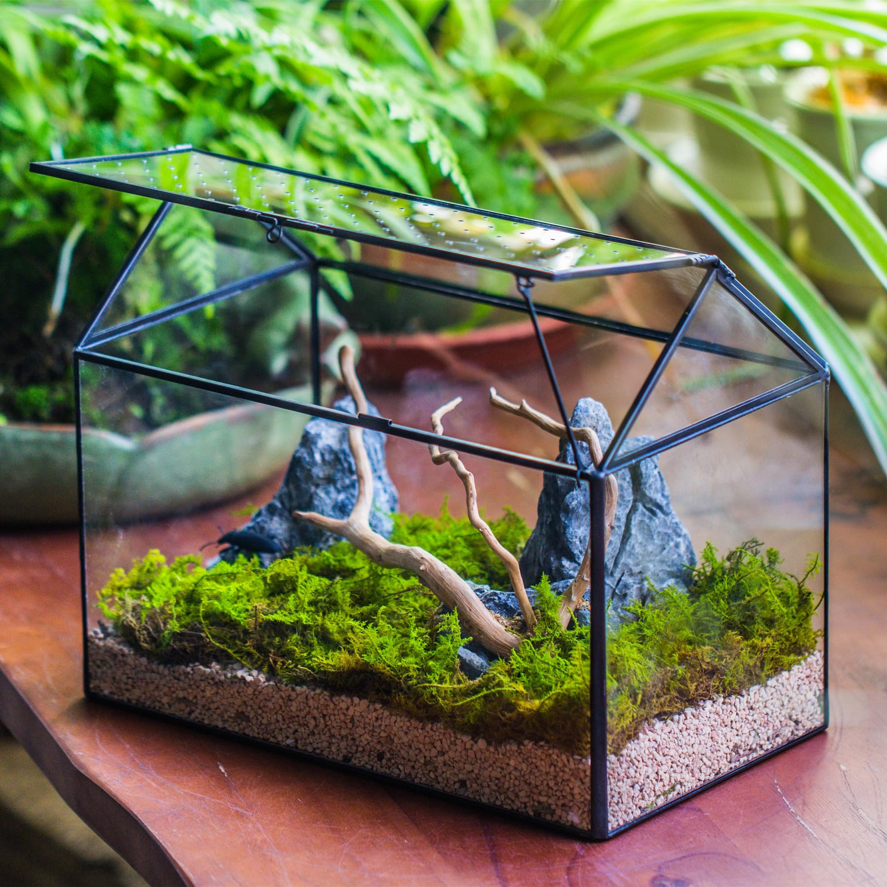 NCYP Glass Terrarium in a living room setting
