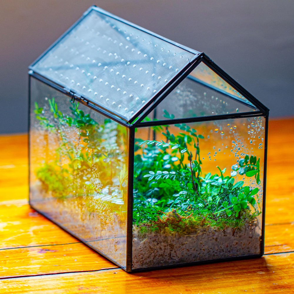 NCYP Glass Terrarium packaging and dimensions