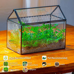 NCYP Glass Terrarium side view showcasing ventilation holes