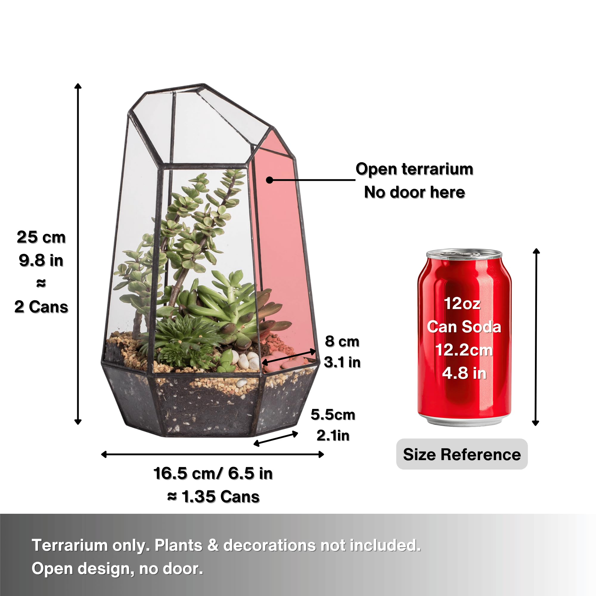 NCYP terrarium with small succulent arrangement inside