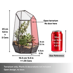 NCYP terrarium with small succulent arrangement inside