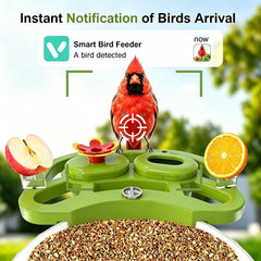 NEEZUKAR bird feeder showing solar panel and camera