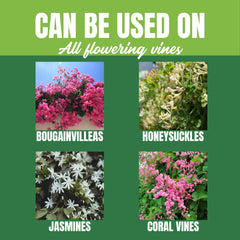 Nelson Plant Food fertilizer application on bougainvillea