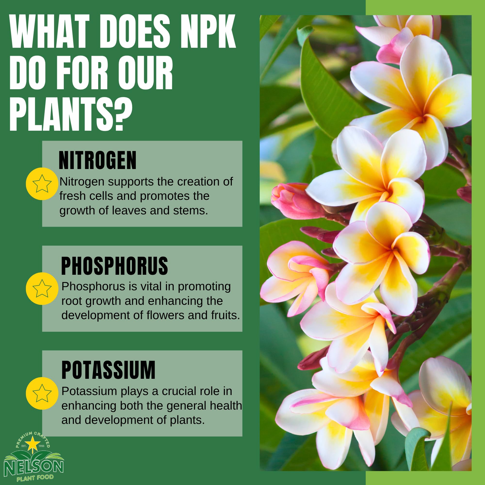 Nelson Plumeria Plant Food 4 lb jar with plants