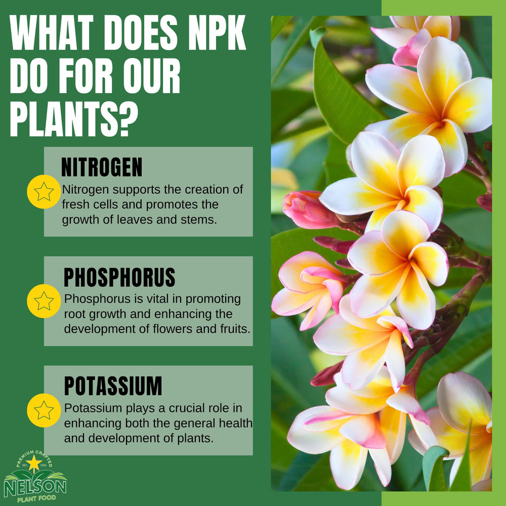 Nelson Plumeria Plant Food 4 lb jar with plants