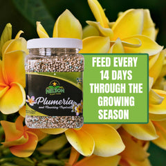Nelson Plumeria Plant Food being applied to plants