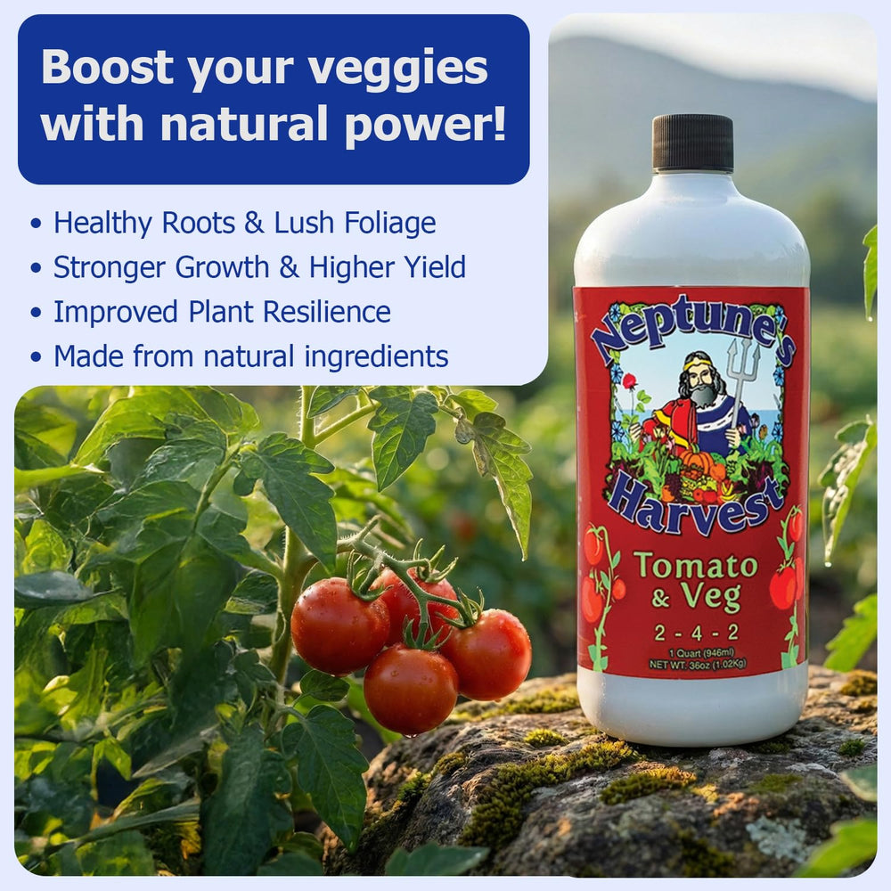 Neptune's Harvest 2-4-2 Fertilizer in use on a vegetable garden