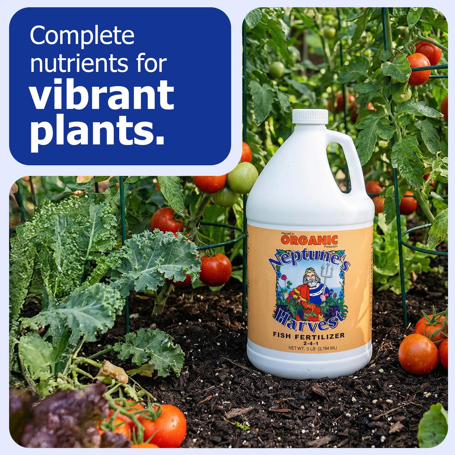 Neptune's Harvest Fish Fertilizer 2-4-1 back label with ingredients
