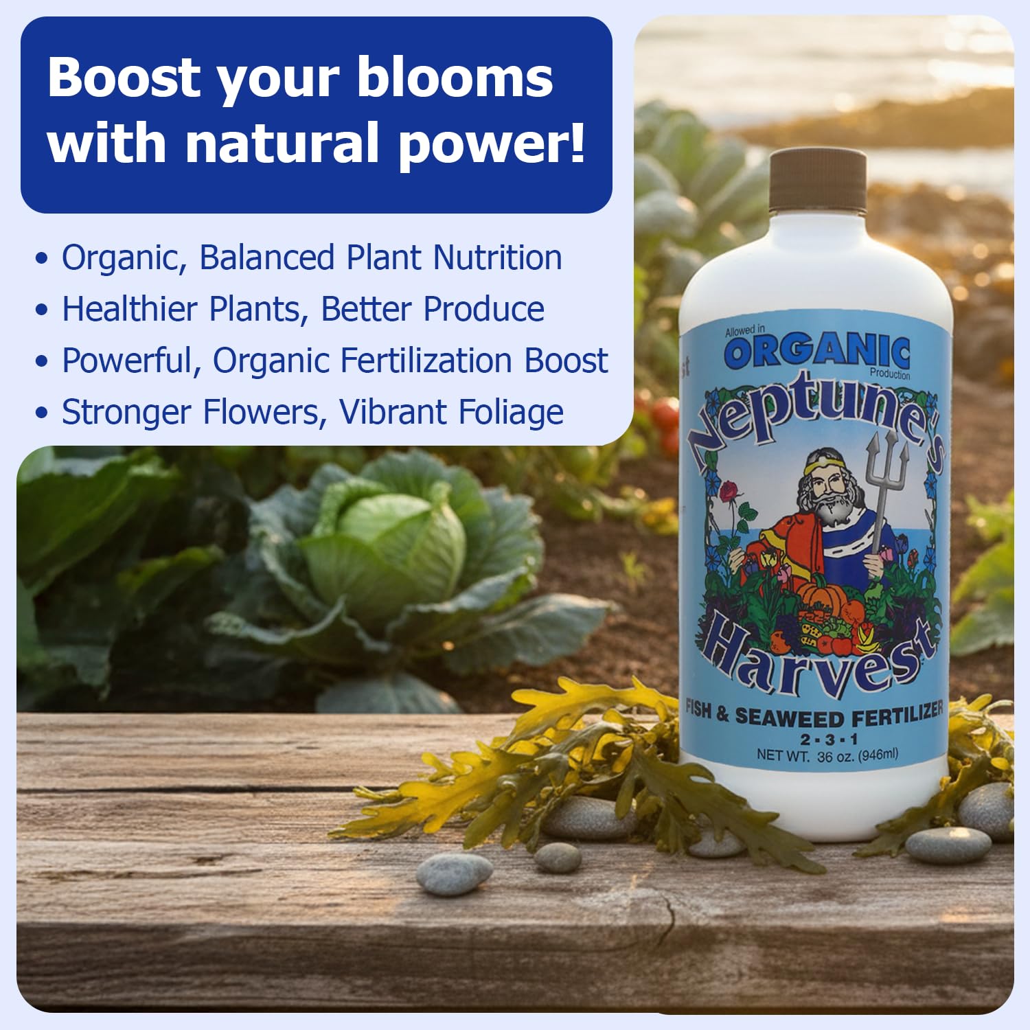 Neptune's Harvest Fish & Seaweed Liquid Fertilizer used on plants in garden