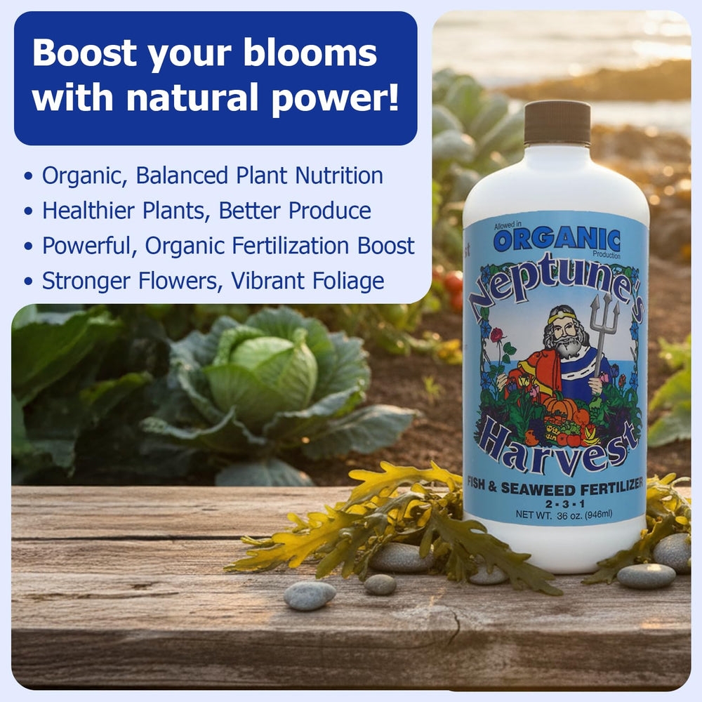 Neptune's Harvest Fish & Seaweed Liquid Fertilizer used on plants in garden
