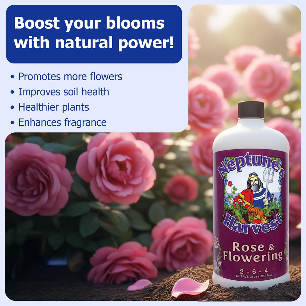 Neptune's Harvest Rose & Flowering Fertilizer being applied to indoor plants