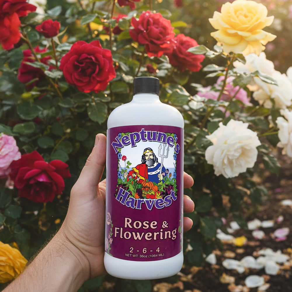 Neptune's Harvest Rose & Flowering Fertilizer displayed in a garden setting with blooming flowers