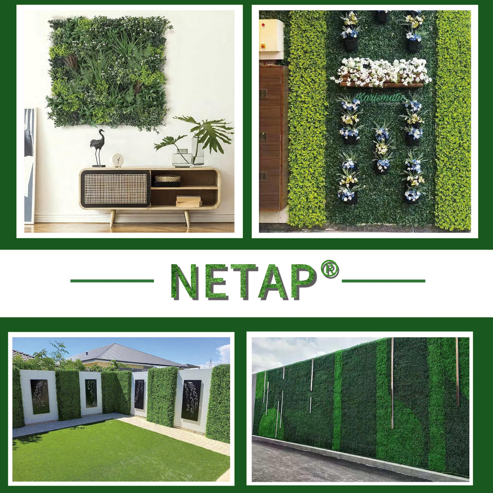 NETAP Boxwood Wall Panels in a garden setting