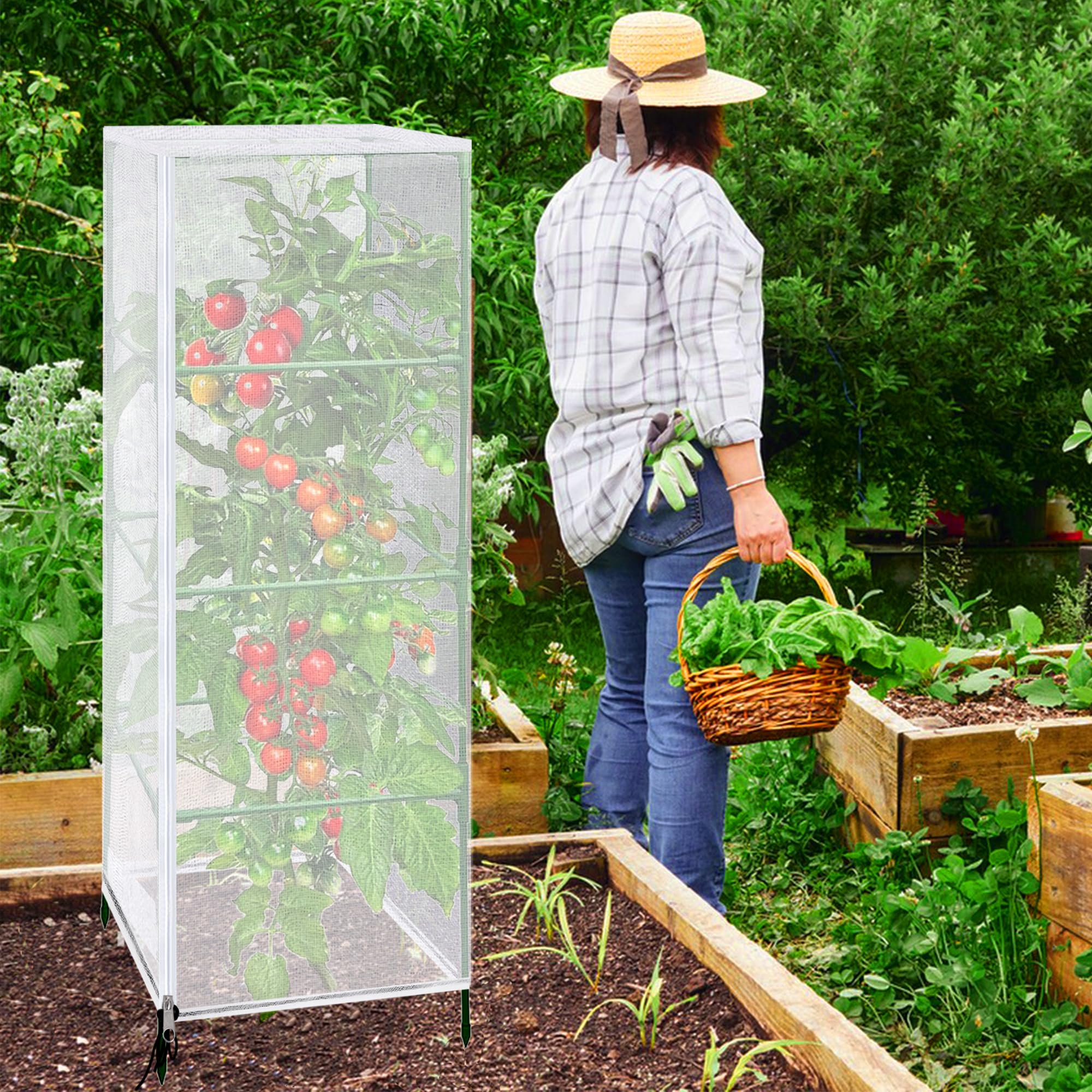 Netting protecting various plants in a garden