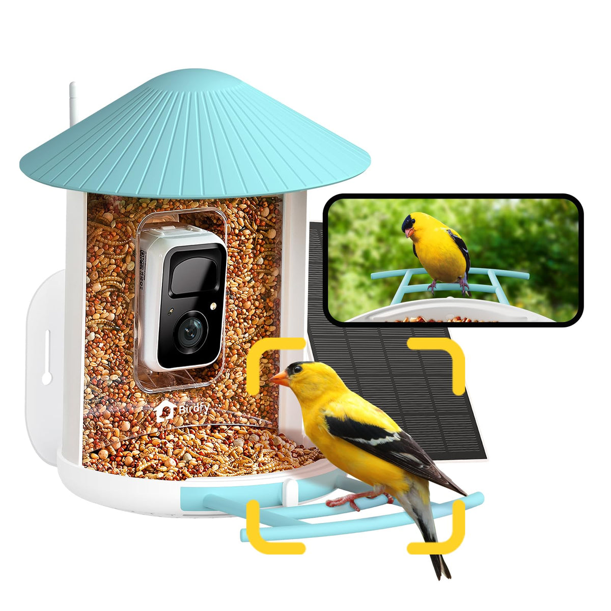 NETVUE Birdfy AI Smart Bird Feeder Camera in Sky Blue front view
