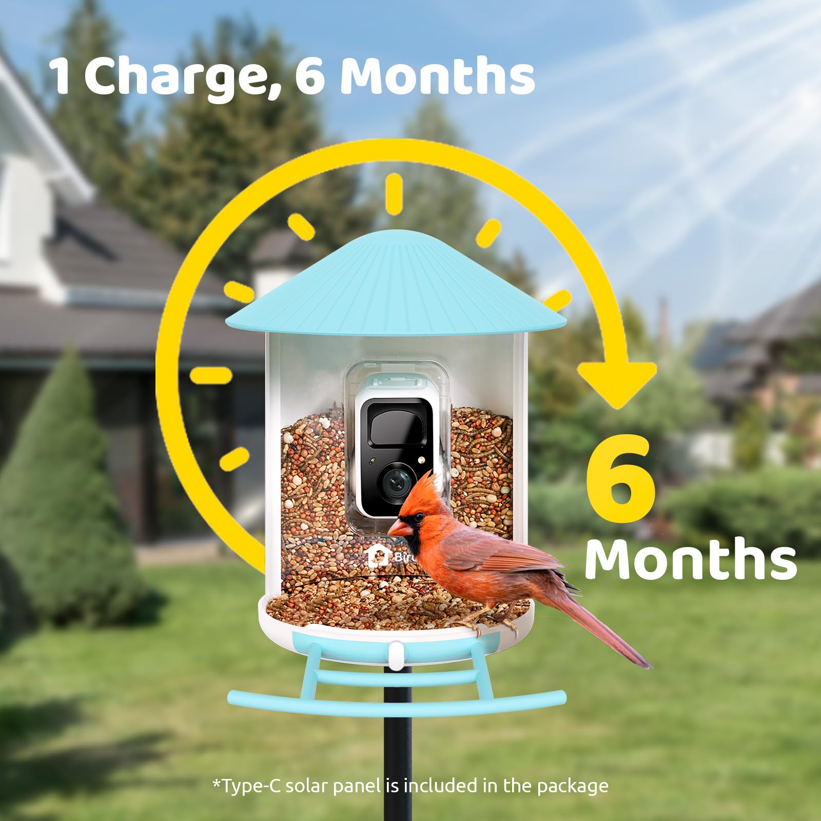 NETVUE Birdfy camera showcasing bird identification feature