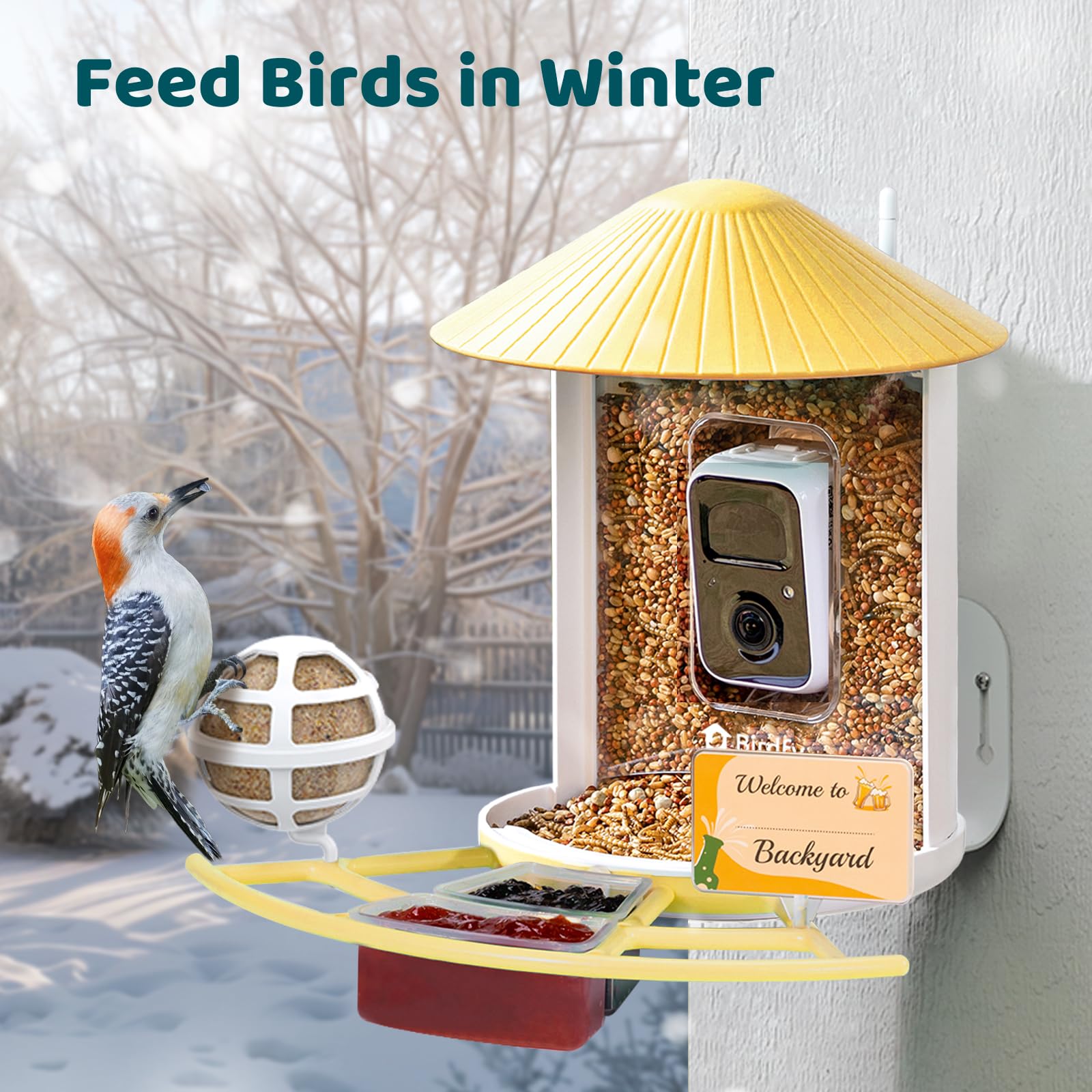 NETVUE Pro Perch with suet feeder and fruit holder