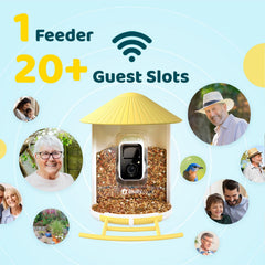 NETVUE Smart Bird Feeder in a garden setting