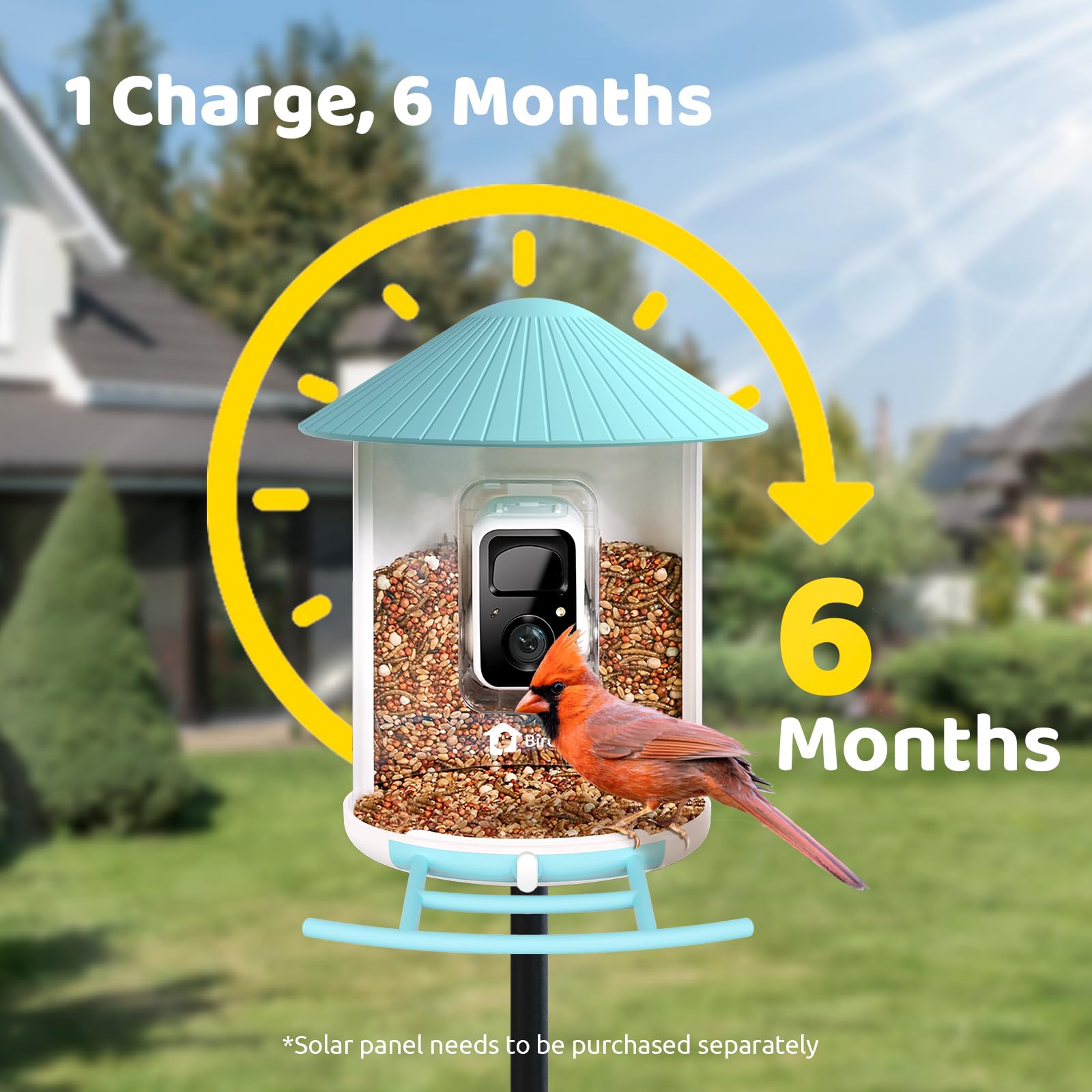 NETVUE Smart Bird Feeder in outdoor setting with birds