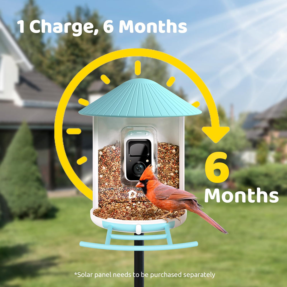 NETVUE Smart Bird Feeder in outdoor setting with birds