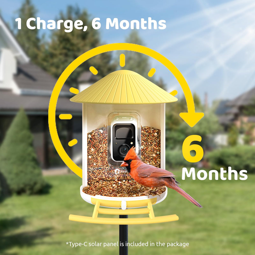 NETVUE Smart Bird Feeder packaging display