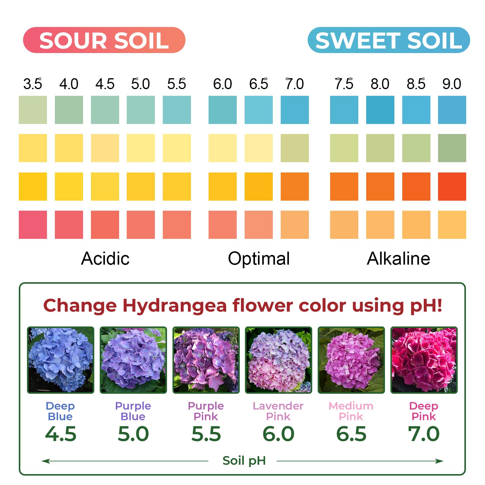 NewTest Soil pH Test Kit packaging showing contents