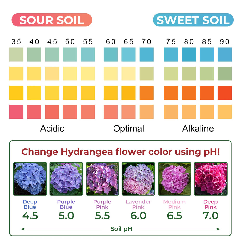 NewTest Soil pH Test Kit packaging showing contents