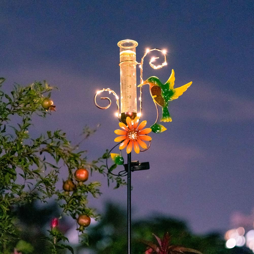 Night view of Stargarden Hummingbird Rain Gauge illuminated