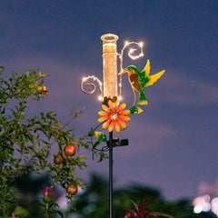 Night view of Stargarden Hummingbird Rain Gauge illuminated