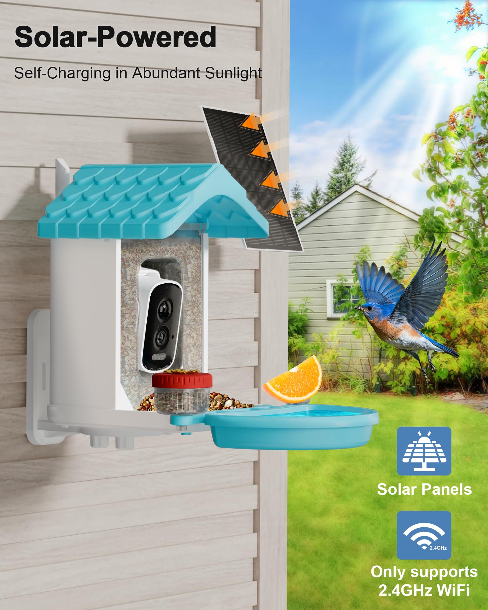 Night view of VISIOGEAR bird feeder with night vision