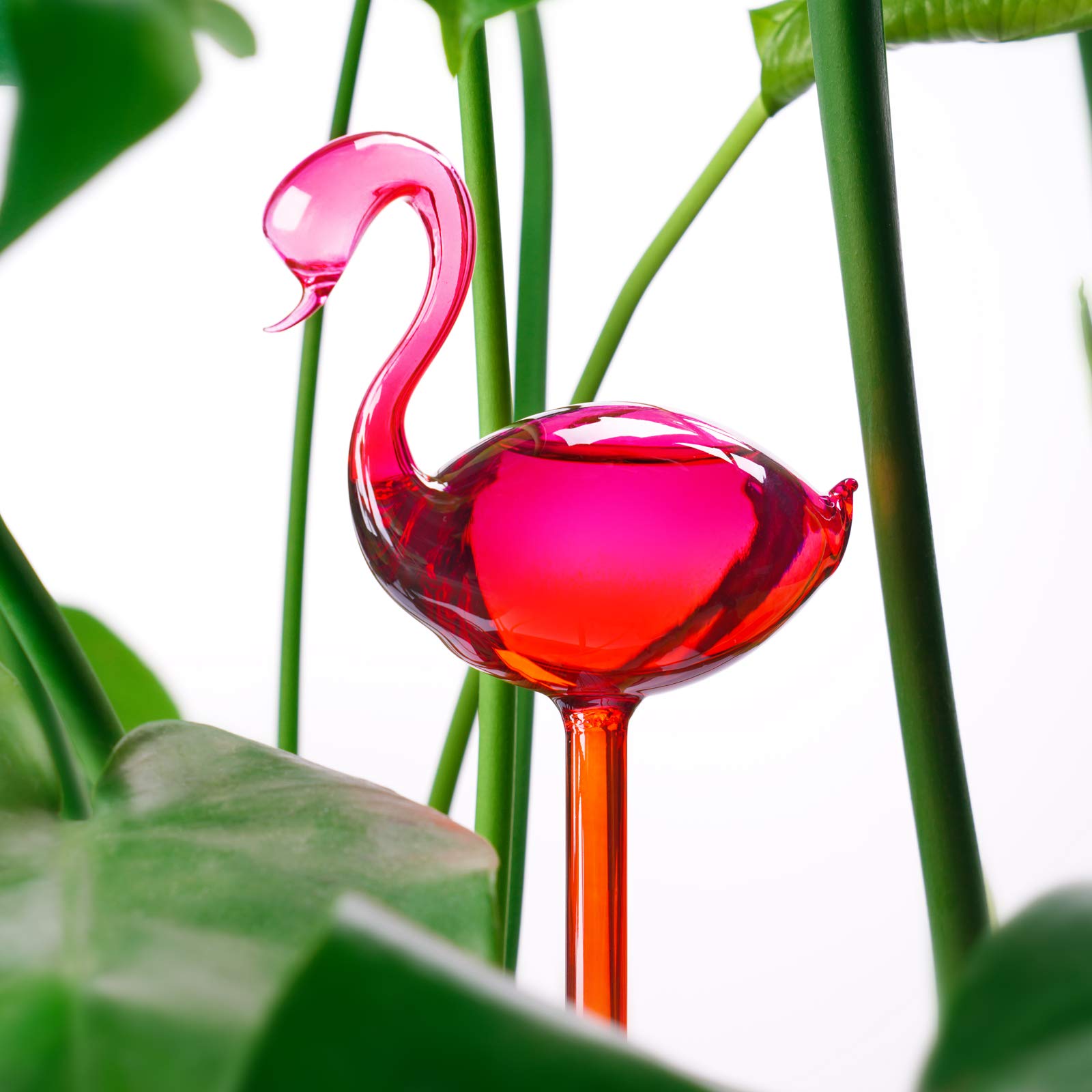 NiHome Self Watering Globe in garden setting