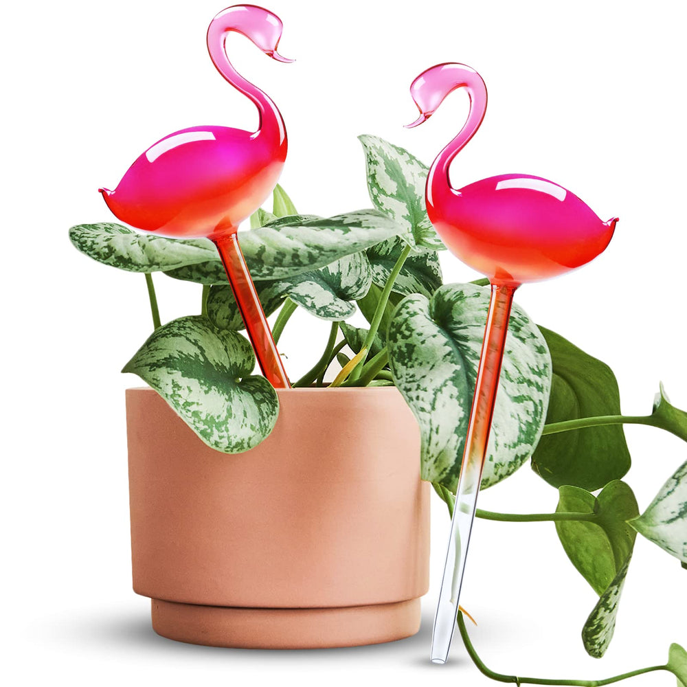 NiHome Self Watering Globe pink model front view