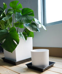 NIMYAU 18 inch square plant saucer top view
