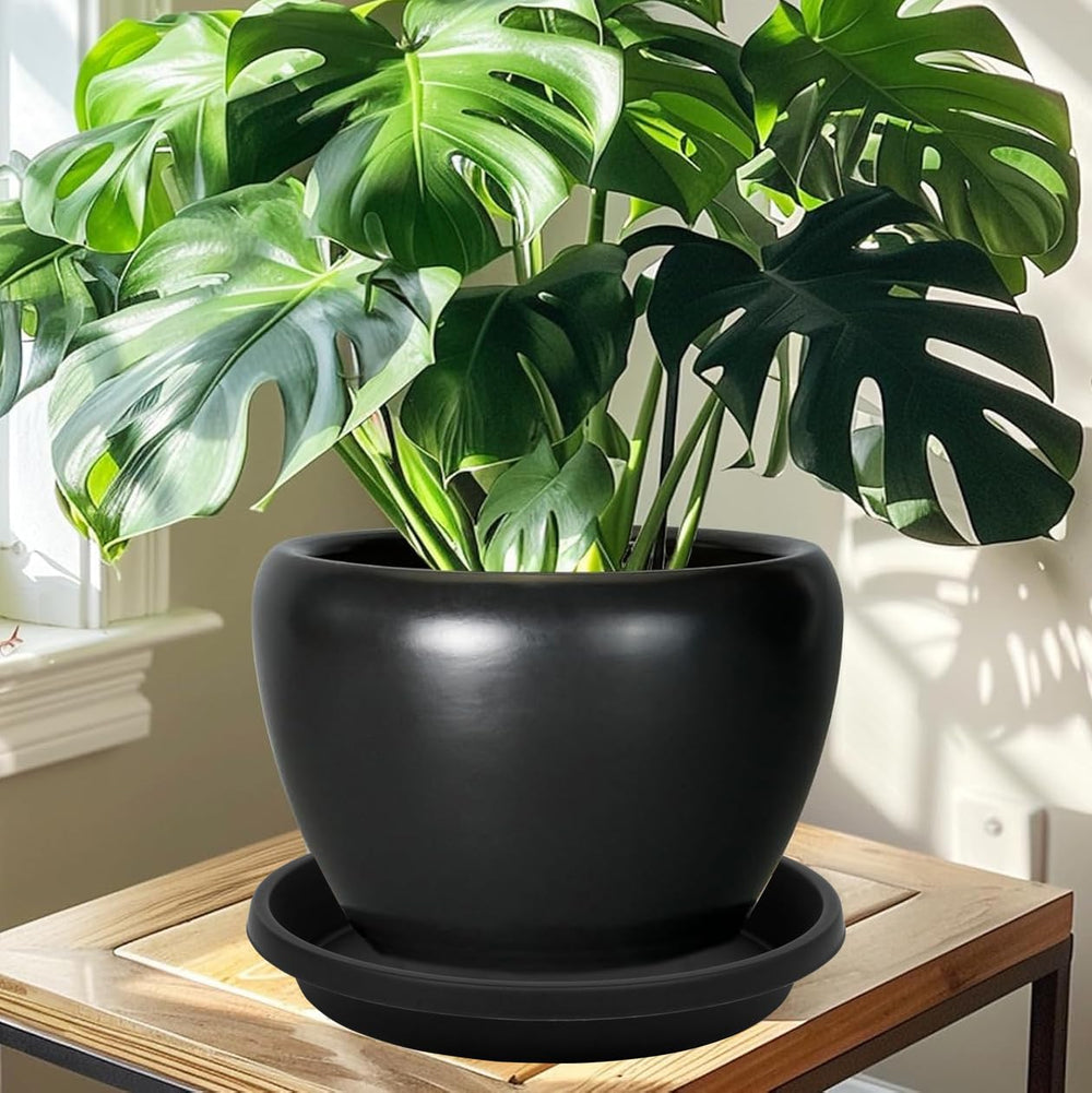 NIMYAU plant saucer with water catch