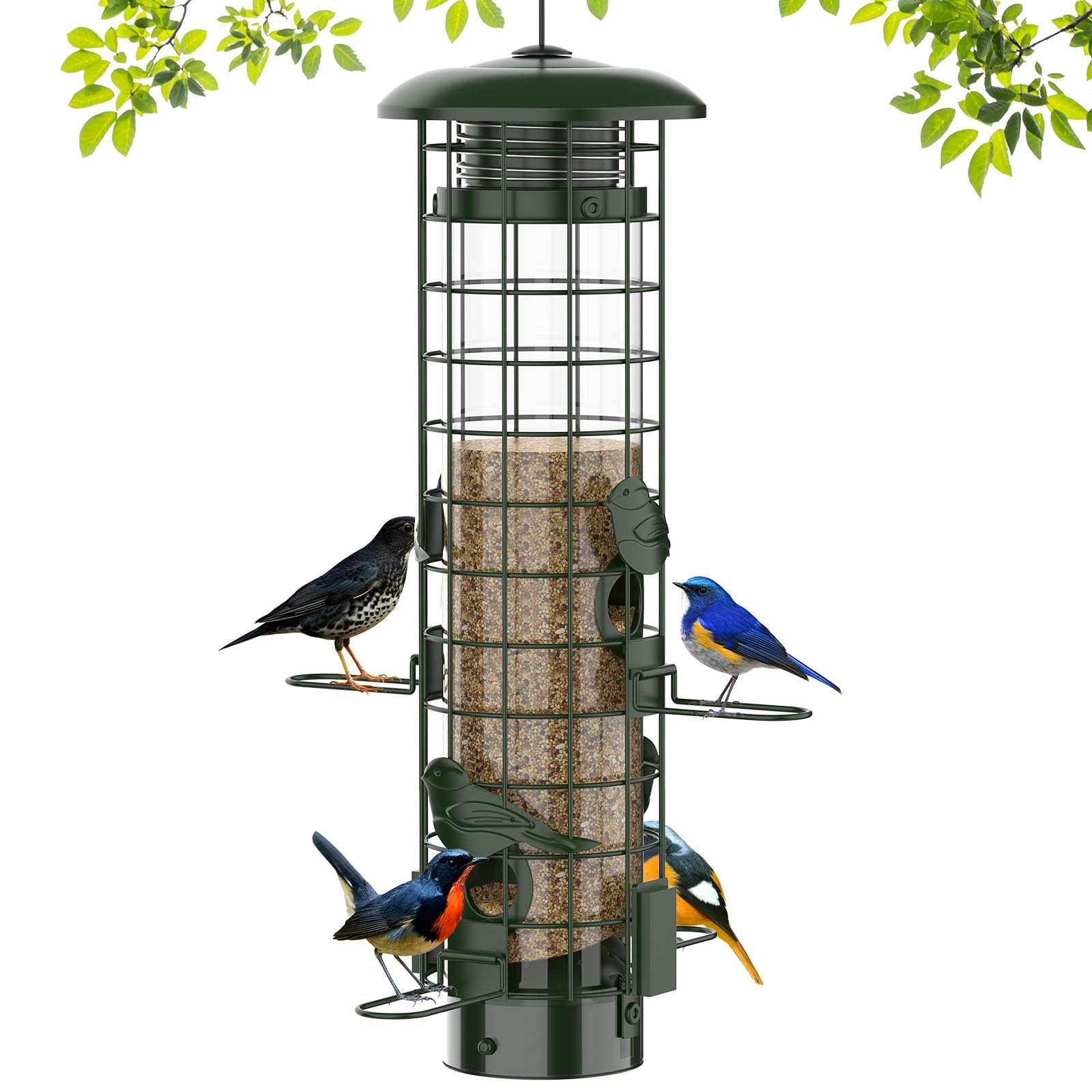 Niser Squirrel Proof Bird Feeder in green front view