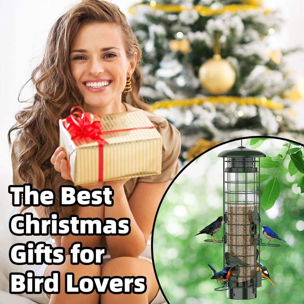 Niser Squirrel Proof Bird Feeder in natural outdoor setting