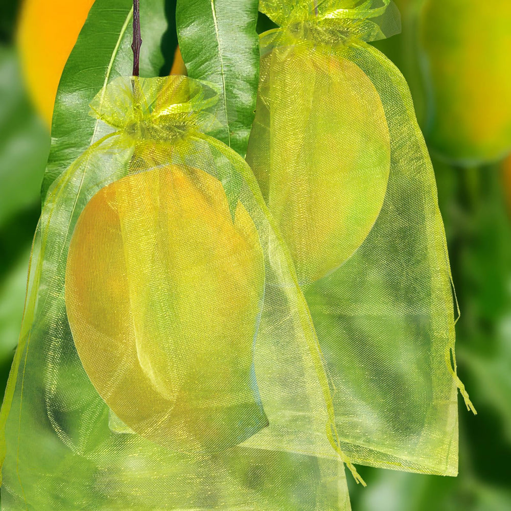 NIUBIER Fruit Protection Bag placed over ripe strawberries