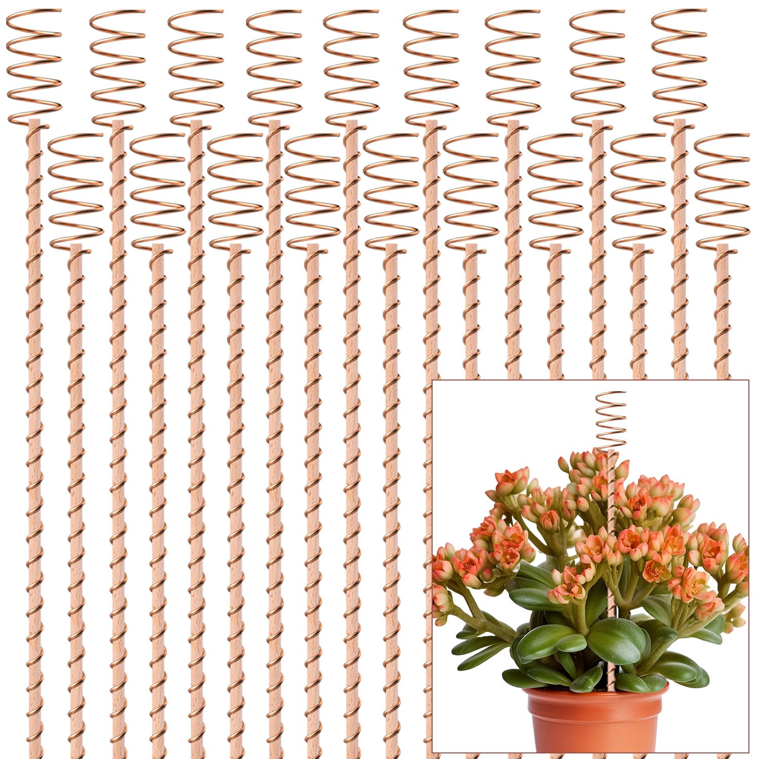 NizHome 18Pack Electroculture Plant Stakes 17 inches in wood