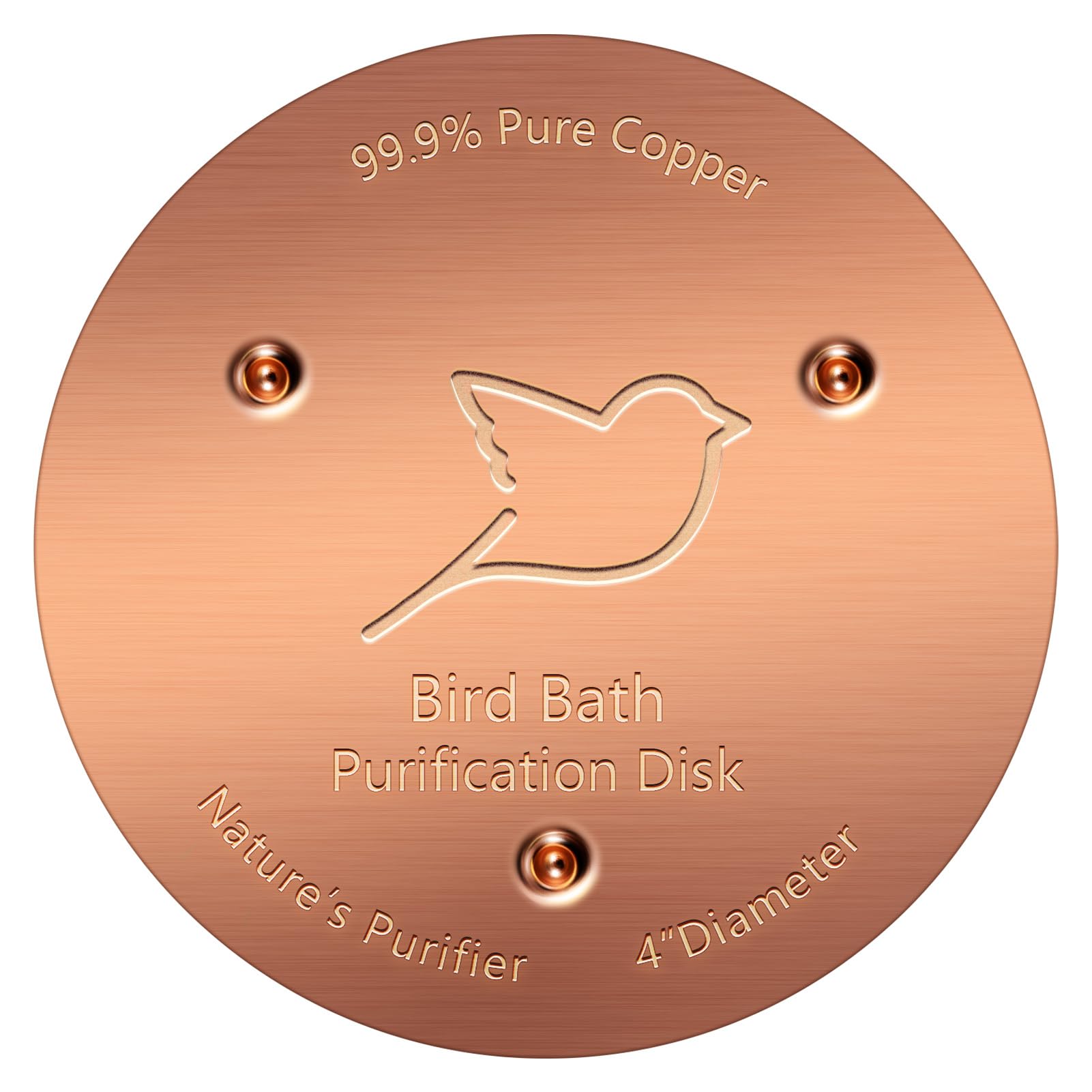 NNG Bird Bath Copper Disk front view, 99.9% pure copper