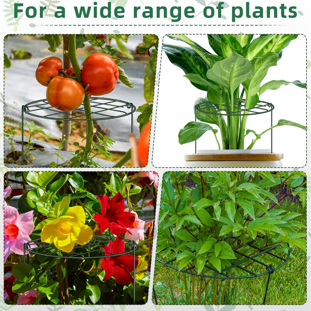 NNG Peony Cage showing stability in outdoor setting