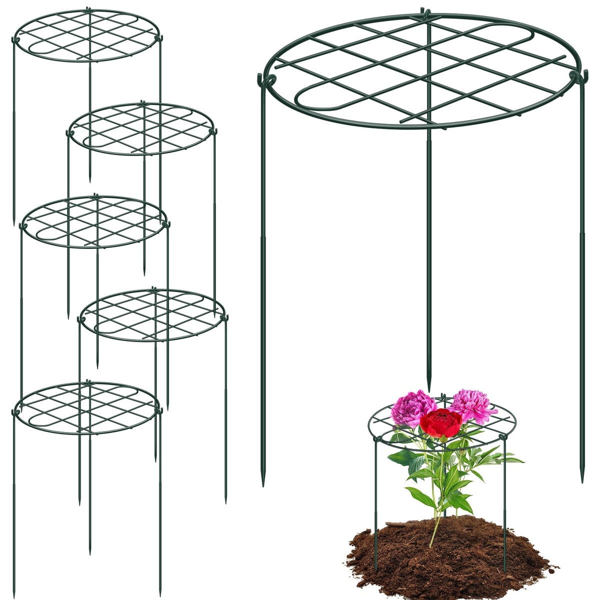 NNG Peony Cages and Supports 6 pack front view