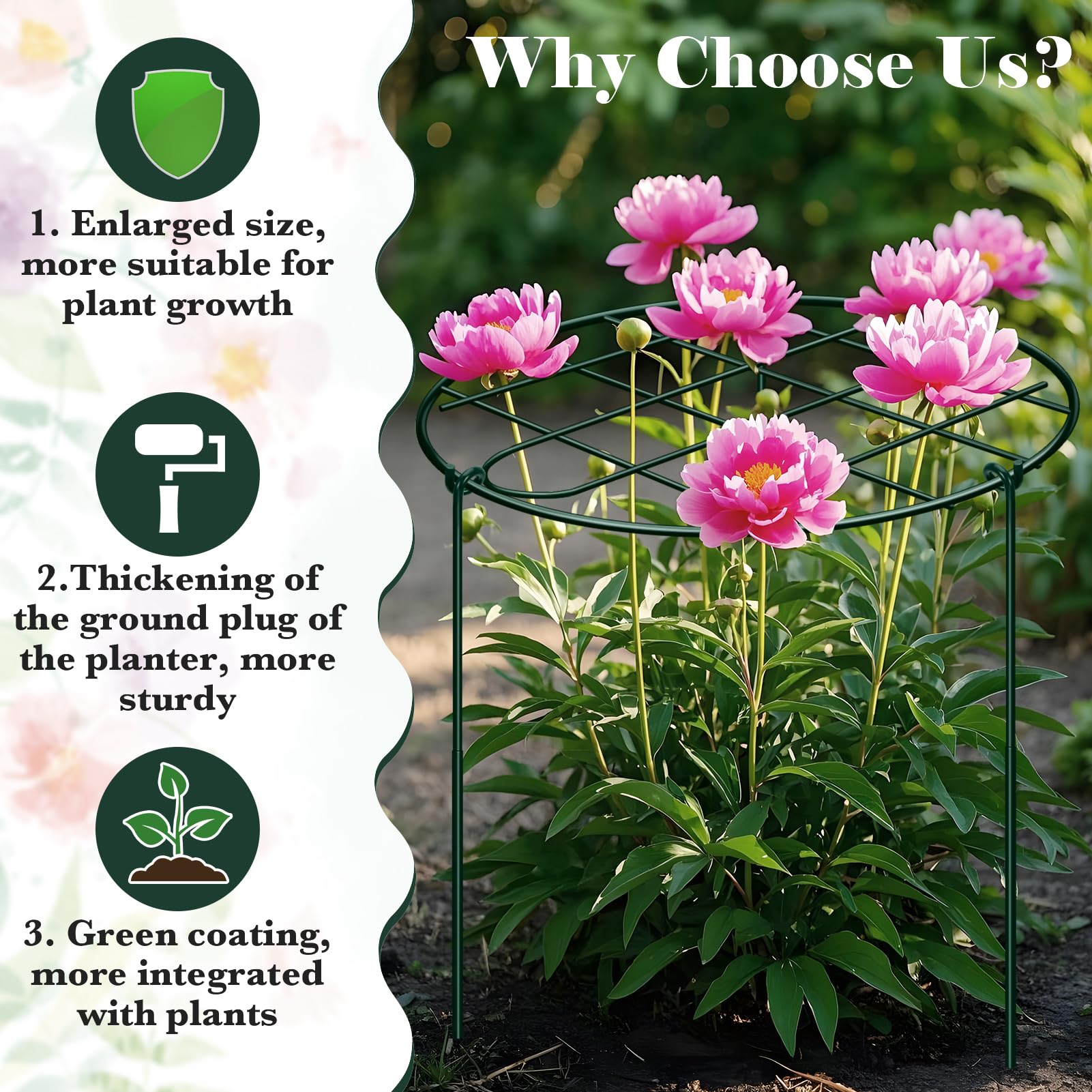 NNG Peony Cages assembled in garden